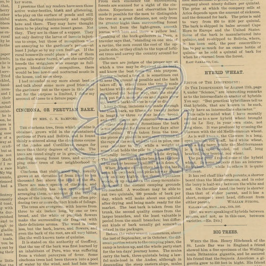 Vintage Newsprint 003 Printed Pattern Vinyl
